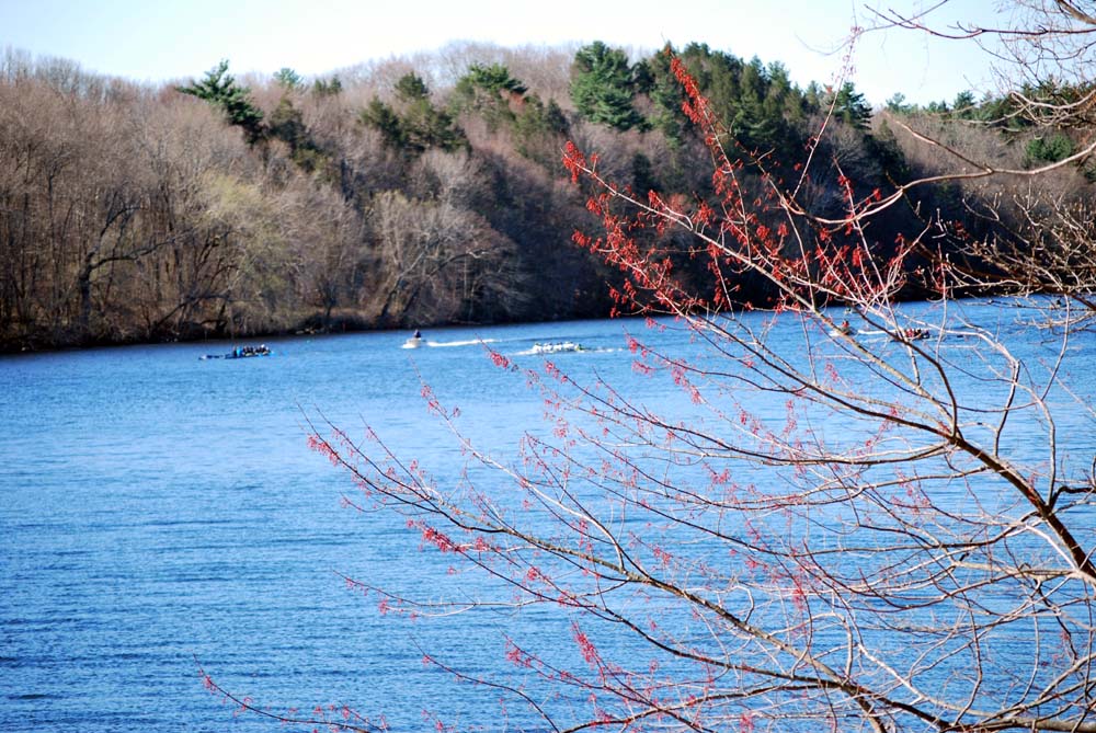 wEssc056