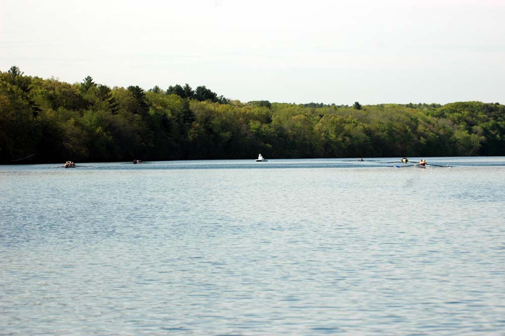 SE14031
