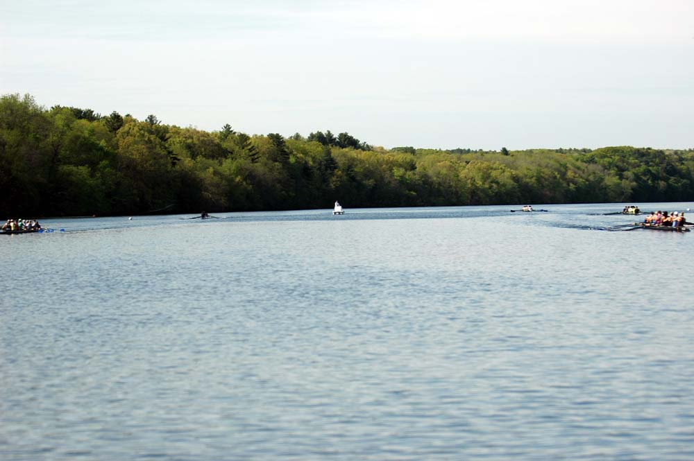 SE14033